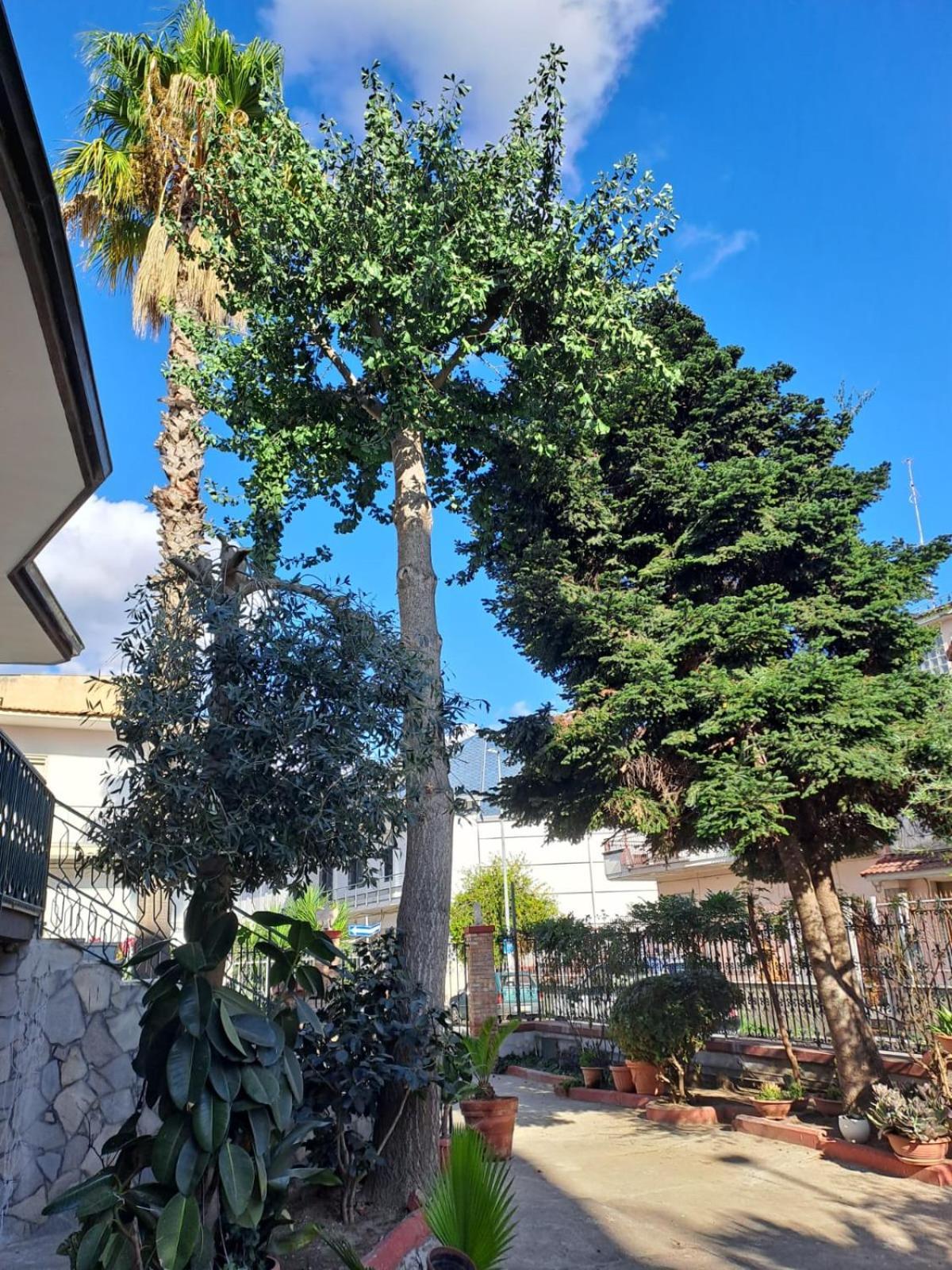 Appartamento A Casa Di Luigi 2 Mugnano di Napoli Esterno foto